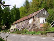 The Bark House B&B,  Bampton